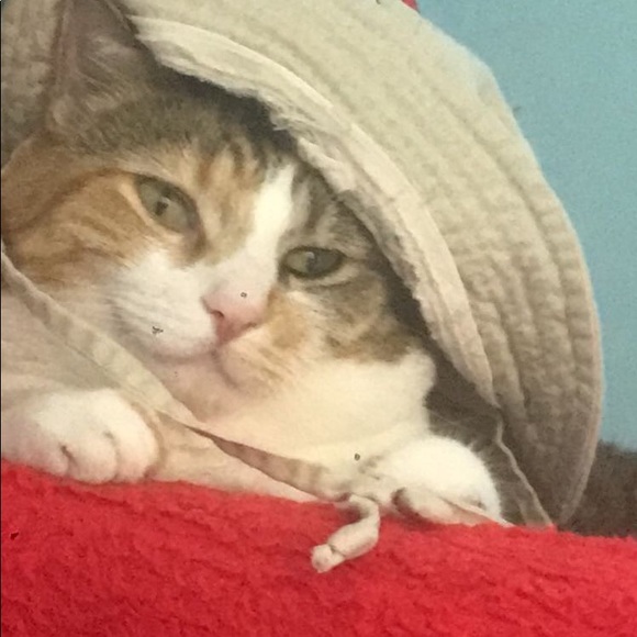 Meet your Posher, Randi - Picture 1 of 1